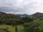 11 Jardin nuevo