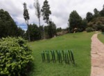 Parque inf 3