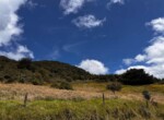 1 IMG_1503
