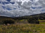3 IMG_1495