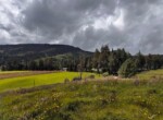 5 IMG_1499