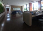 17 Sala recepcion copia